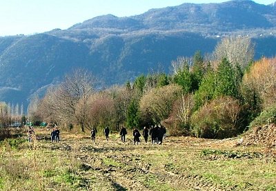 Zone Zac Bords du Lac défrichée