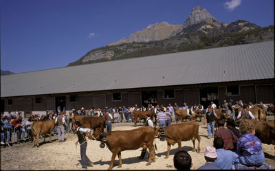 fete au chatelard comice