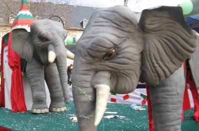 elephants chambery