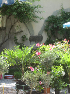 Marché des Plantes au Bourget du lac