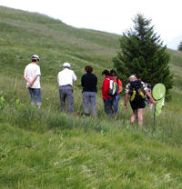 naturalistes