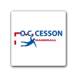 cesson handball