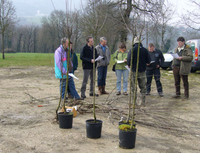 formation mediateur fruitier