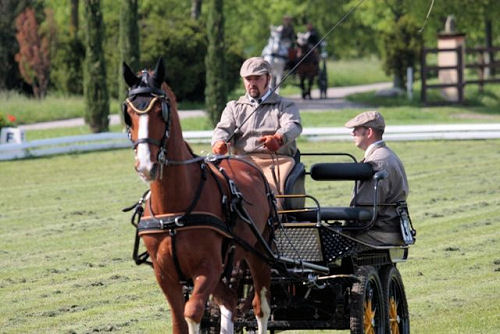 attelage cheval