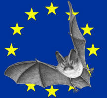 nuit europeenne de la chauve souris