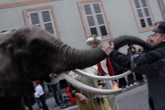 elephant trompe chambery