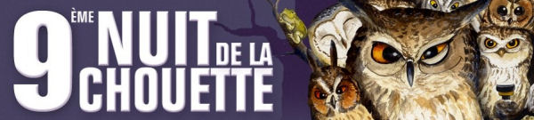 nuit de la chouette