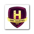 Chambry Savoie Handball- Nantes (27-26): le capitaine du navire au poste de commandement
