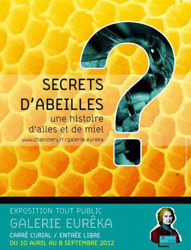 exposition secrets abeille