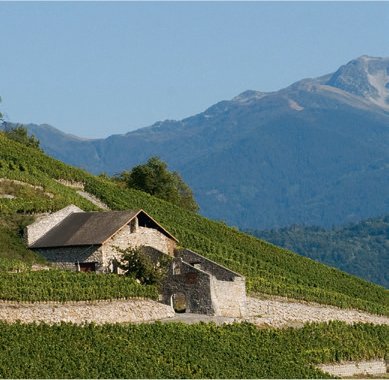 biennale vins de montagne