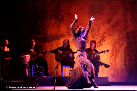 flamenco manolo punto