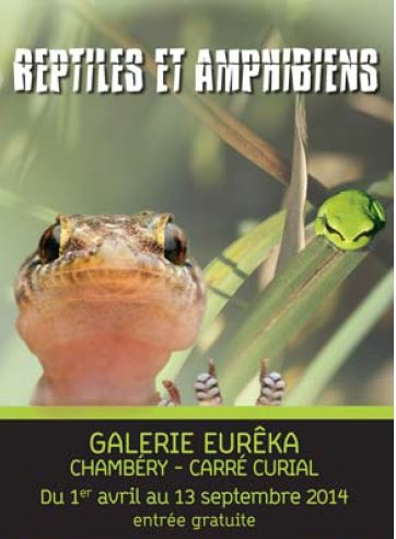 reptiles amphibiens