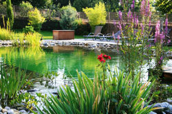 jardin chambre hôte savoie