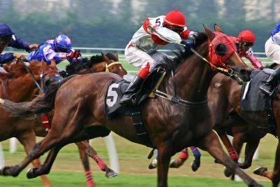 paris course chevaux hippisme