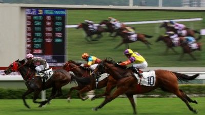 paris sur les courses de plat
