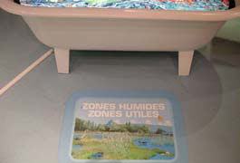 Le tapis de bain : les zones humides
