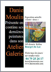 expositions Danie Moulin