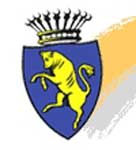 logo torino turin