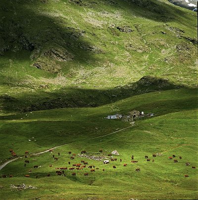 Parc de la Vanoise