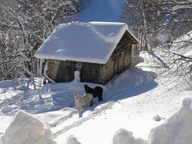 Eliane Oudbib photo neige beaufortain