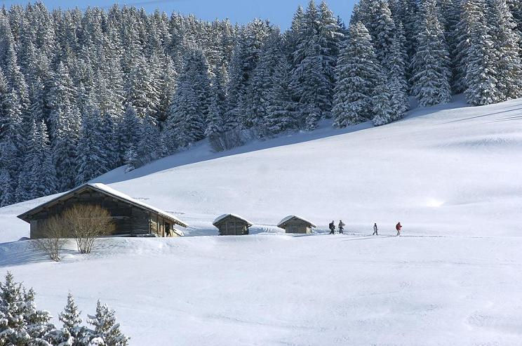 paysage de neige aux Saisies en Savoie - Serge Vallon