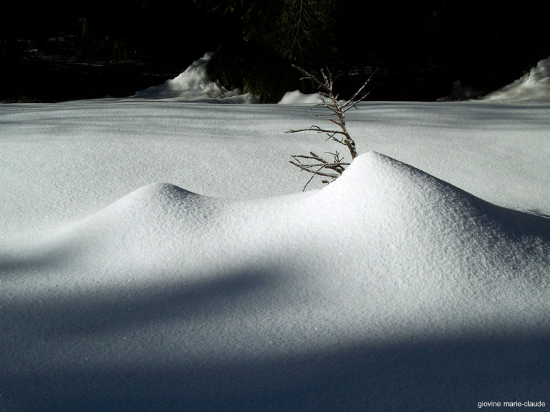 Photo nocturne au dessus des Aillons dans les Bauges en Savoie