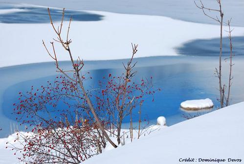 etang gelé paysage neige dominique devos