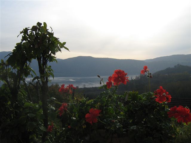 Le lac du Bourget et des geraniums