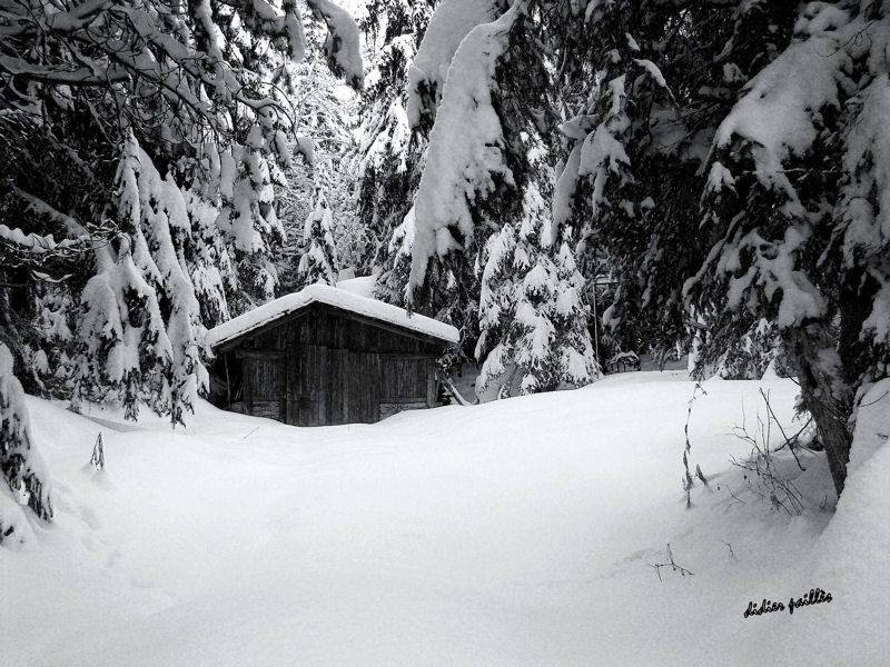 cabane dans le bois sous la neige