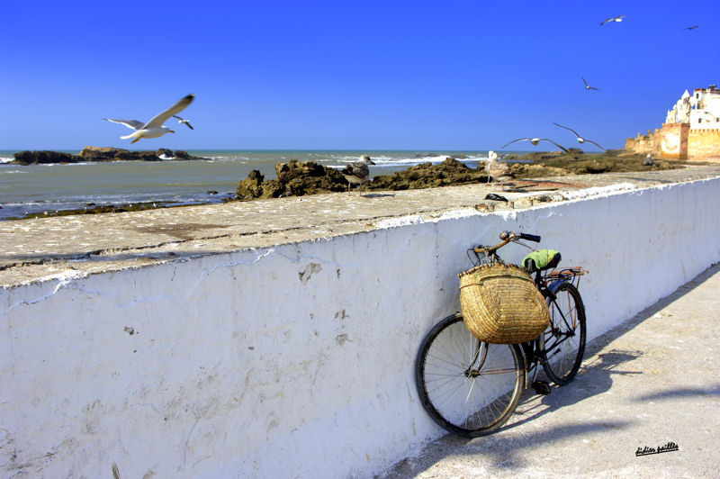 Essaouira un port sur l'Oan Atlantique