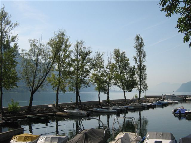 Port et arbres- Lac du Bourget - Chatillon