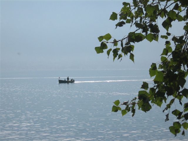 Un Bateau sur le Lac du Bourget - Conjux
