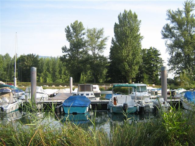 Un port dans les roseaux et les arbres sur le Lac du Bourget 