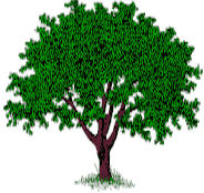 arbre genealogique