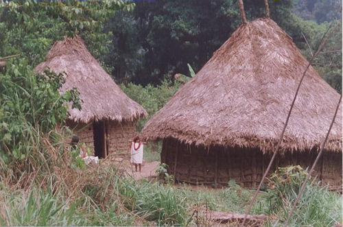 Photos de voyages en Colombie