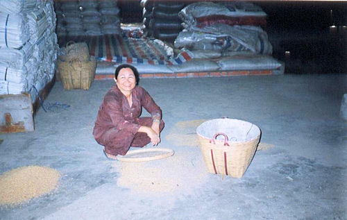 vietnam femme travail