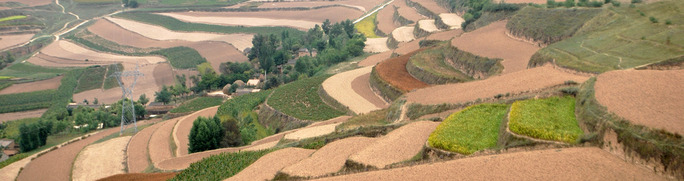 terrasse agricole montagne chine